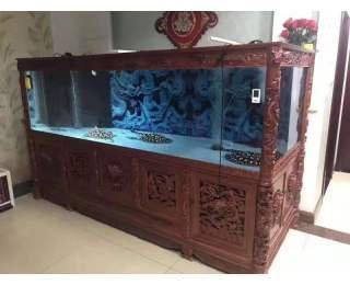 鱼缸搬运